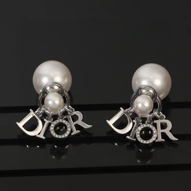 Dior Earrings CE14678