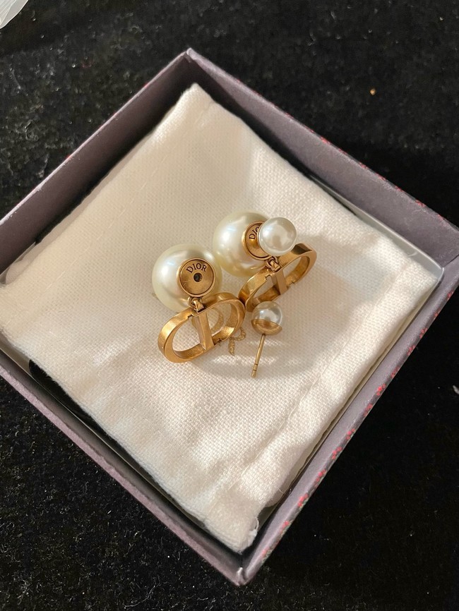 Dior Earring CE16596