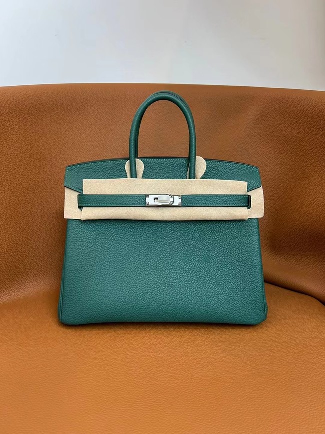 Hermes Birkin Bag togo Leather 5570-17