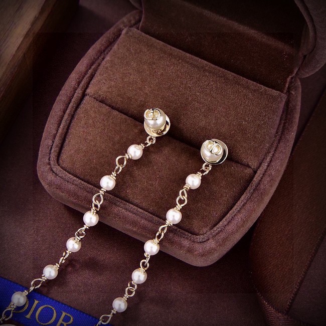 Dior Earring CE81678